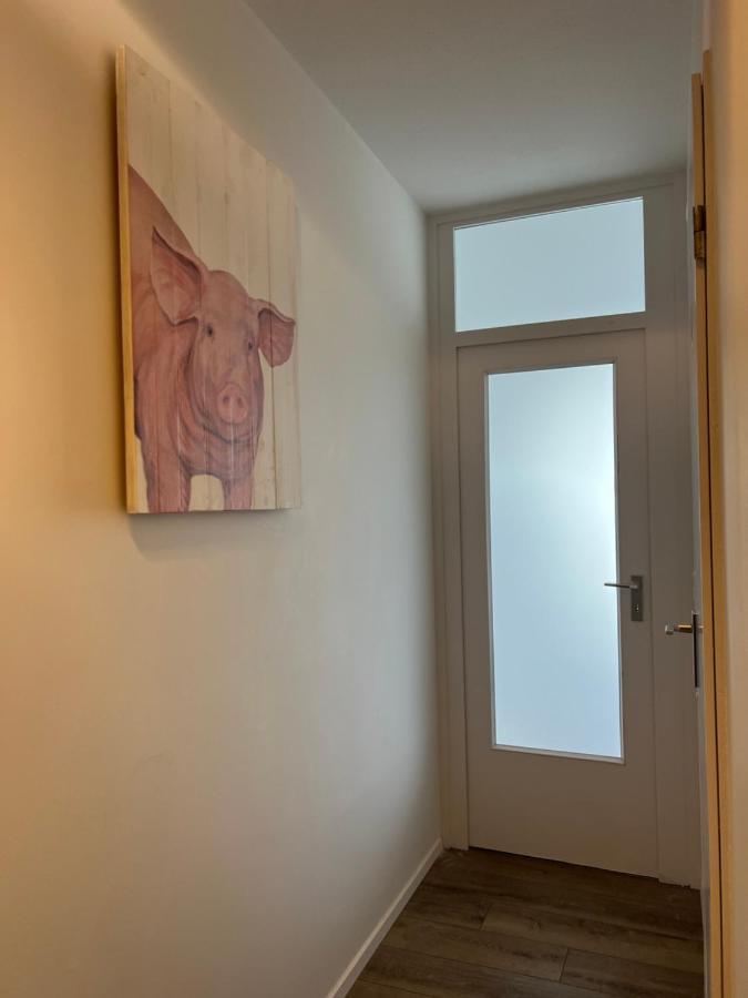 Appartement Inselblick 2 à Schleswig Extérieur photo